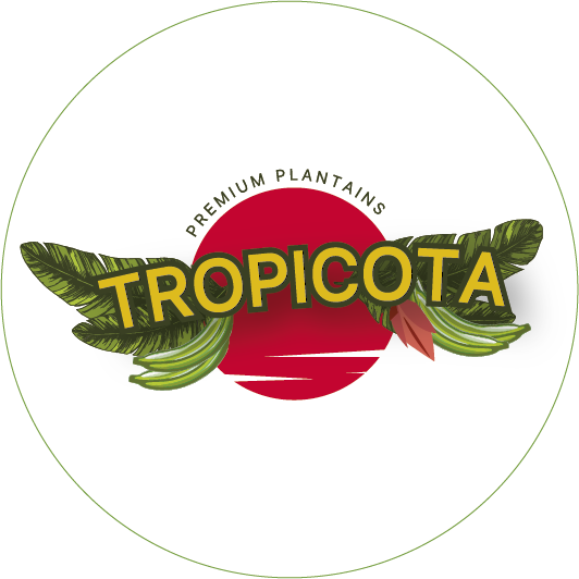 Tropicota